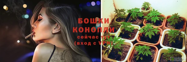 mdpv Богородск