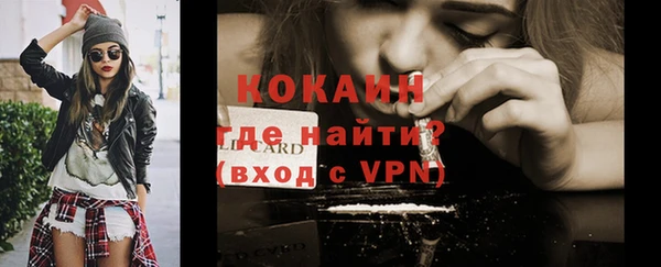 ECSTASY Богданович