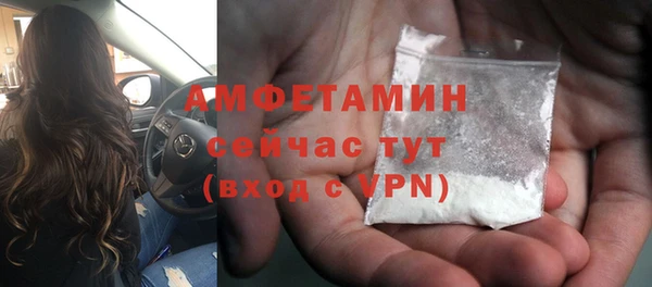 стаф Бородино