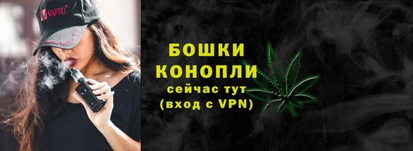 стаф Бронницы