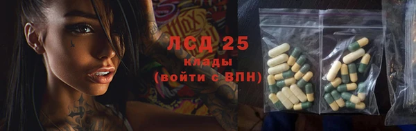 ECSTASY Богданович