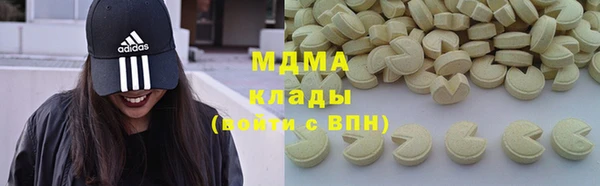 индика Тавда