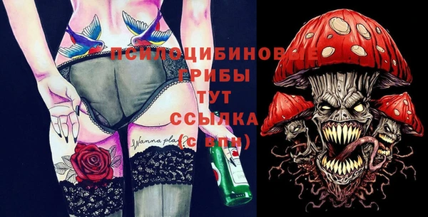 стаф Бородино