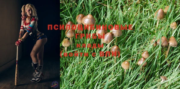 стаф Бронницы