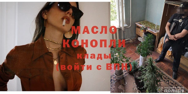 ECSTASY Богданович