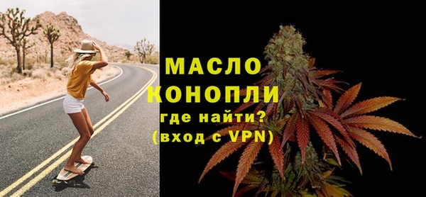 ECSTASY Богданович
