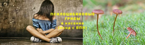 стаф Бронницы