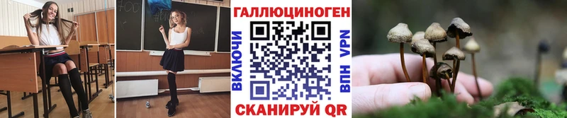 Галлюциногенные грибы мицелий  MEGA ссылки  Когалым  купить  цена 